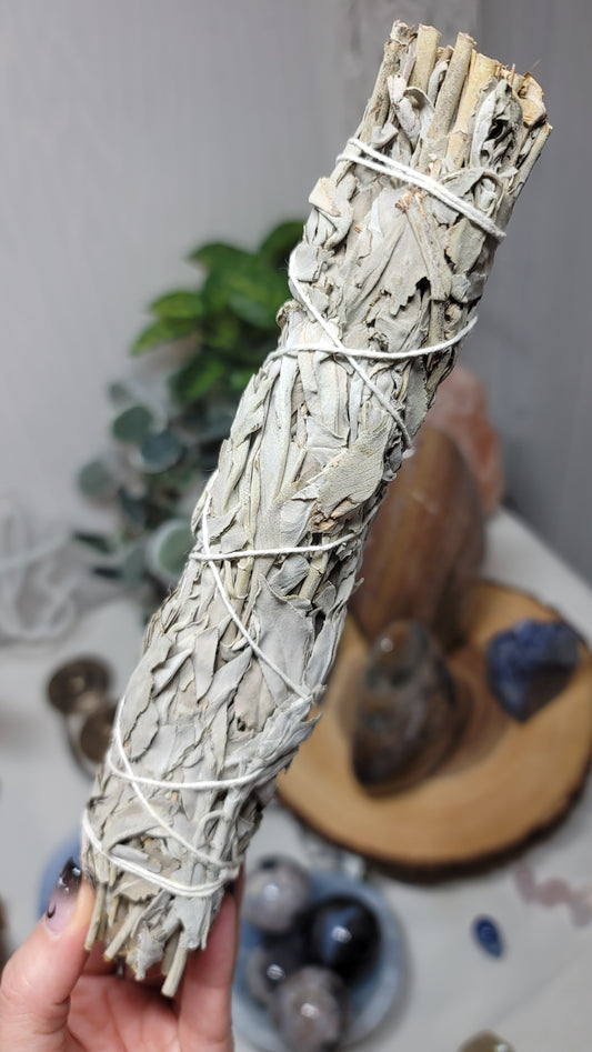 9" California White Sage Smudge Stick, Cleansing Ritual/Tool