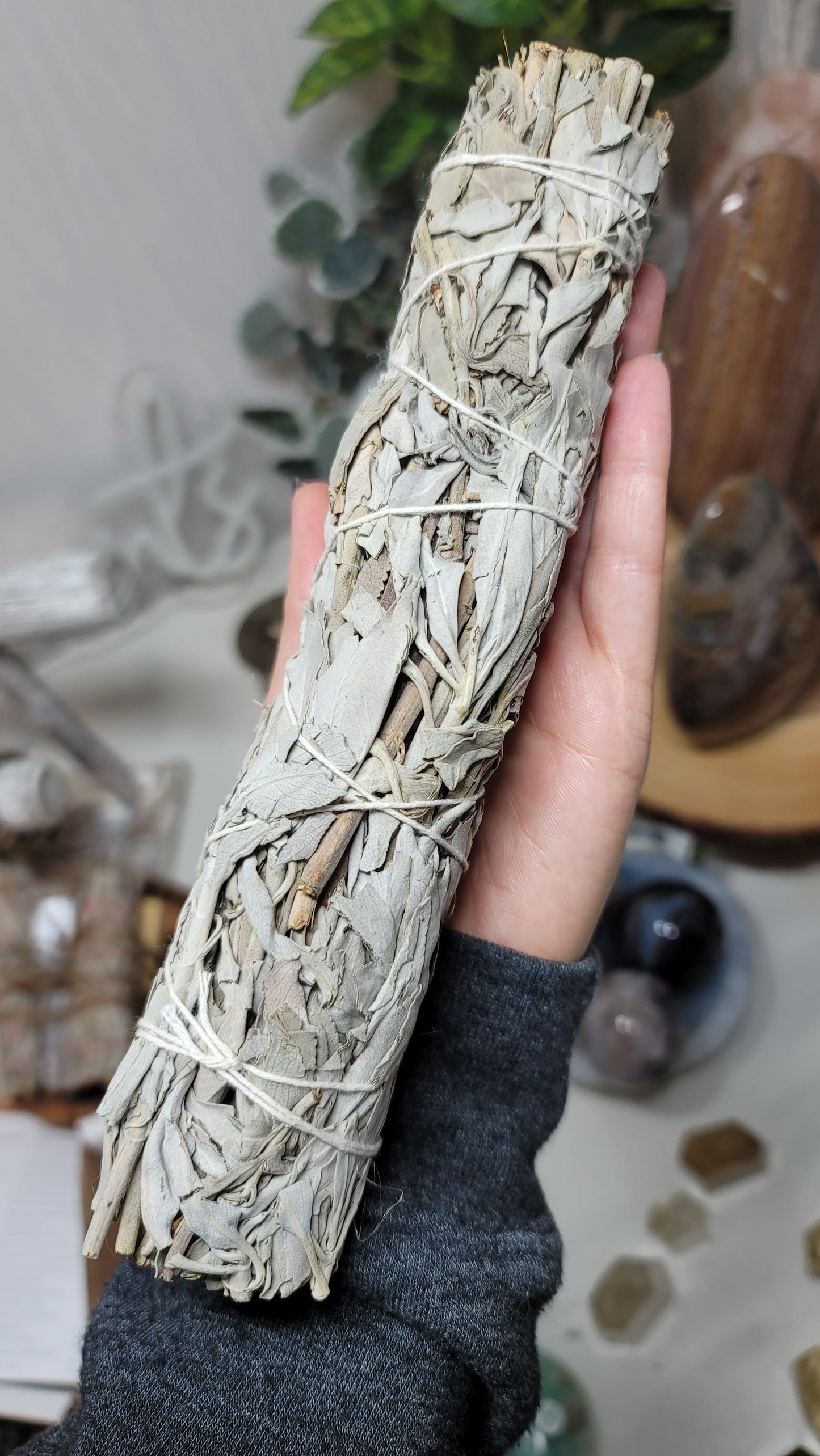 9" California White Sage Smudge Stick, Cleansing Ritual/Tool