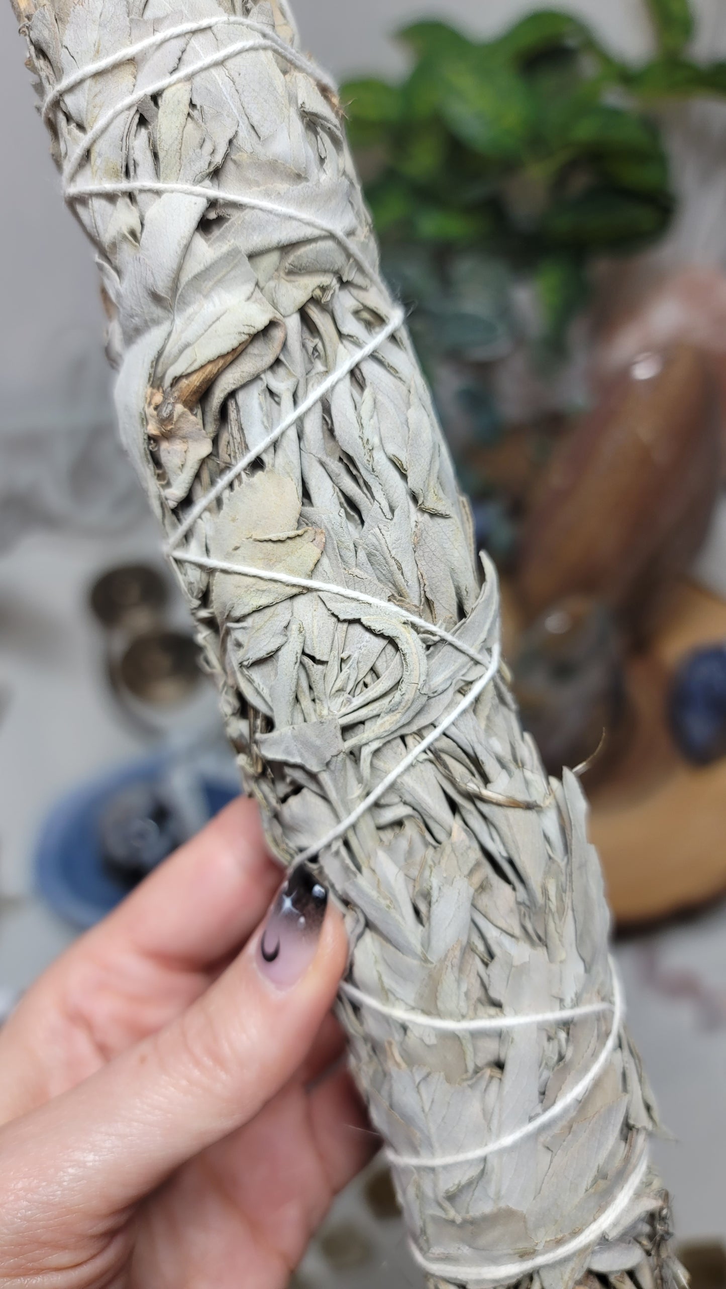 9" California White Sage Smudge Stick, Cleansing Ritual/Tool