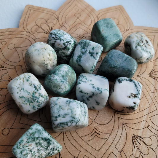 Tree Agate || growth, abundance, harmony