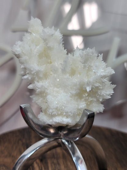 White Aragonite, Mexico | 001