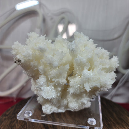 White Aragonite, Mexico | 002