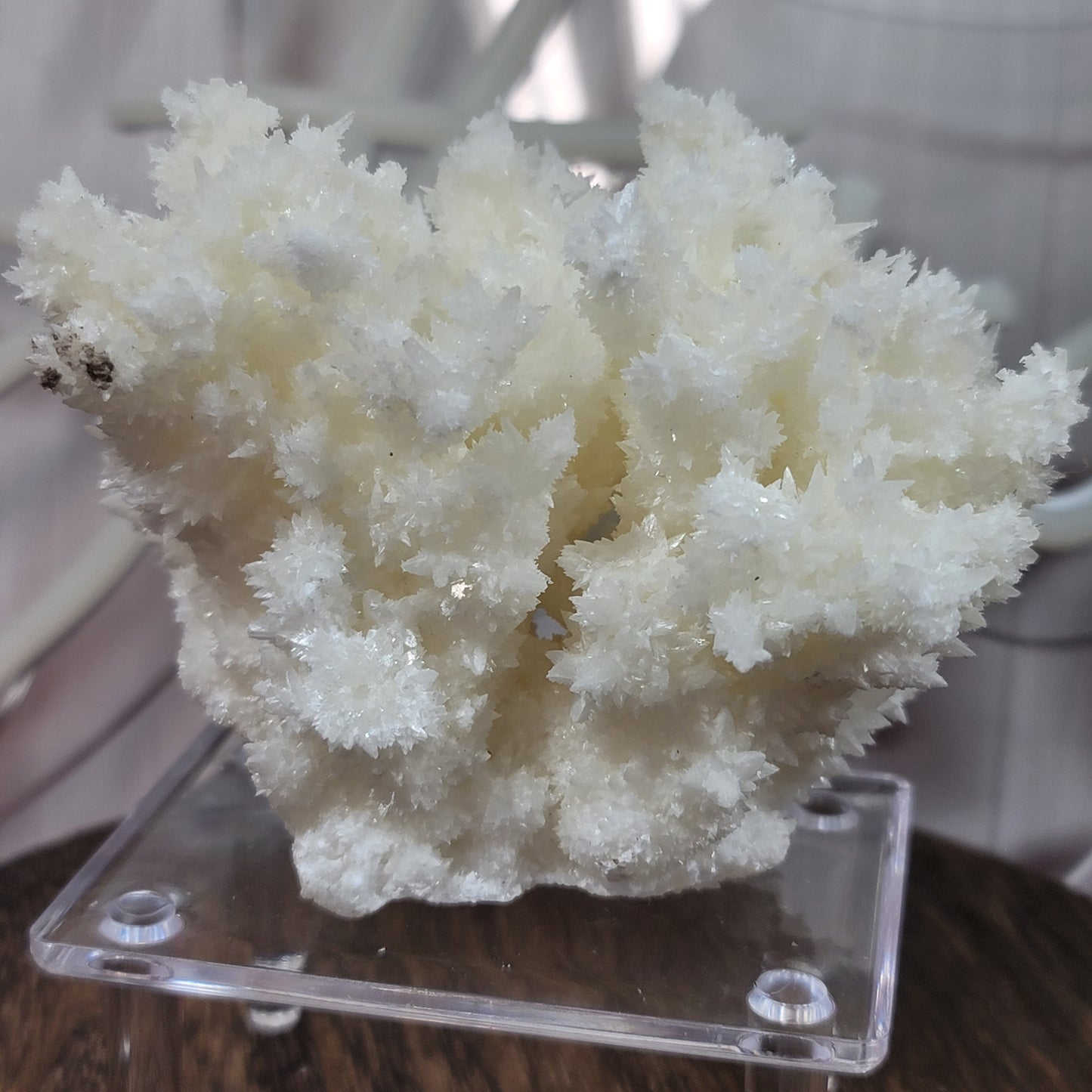 White Aragonite, Mexico | 002