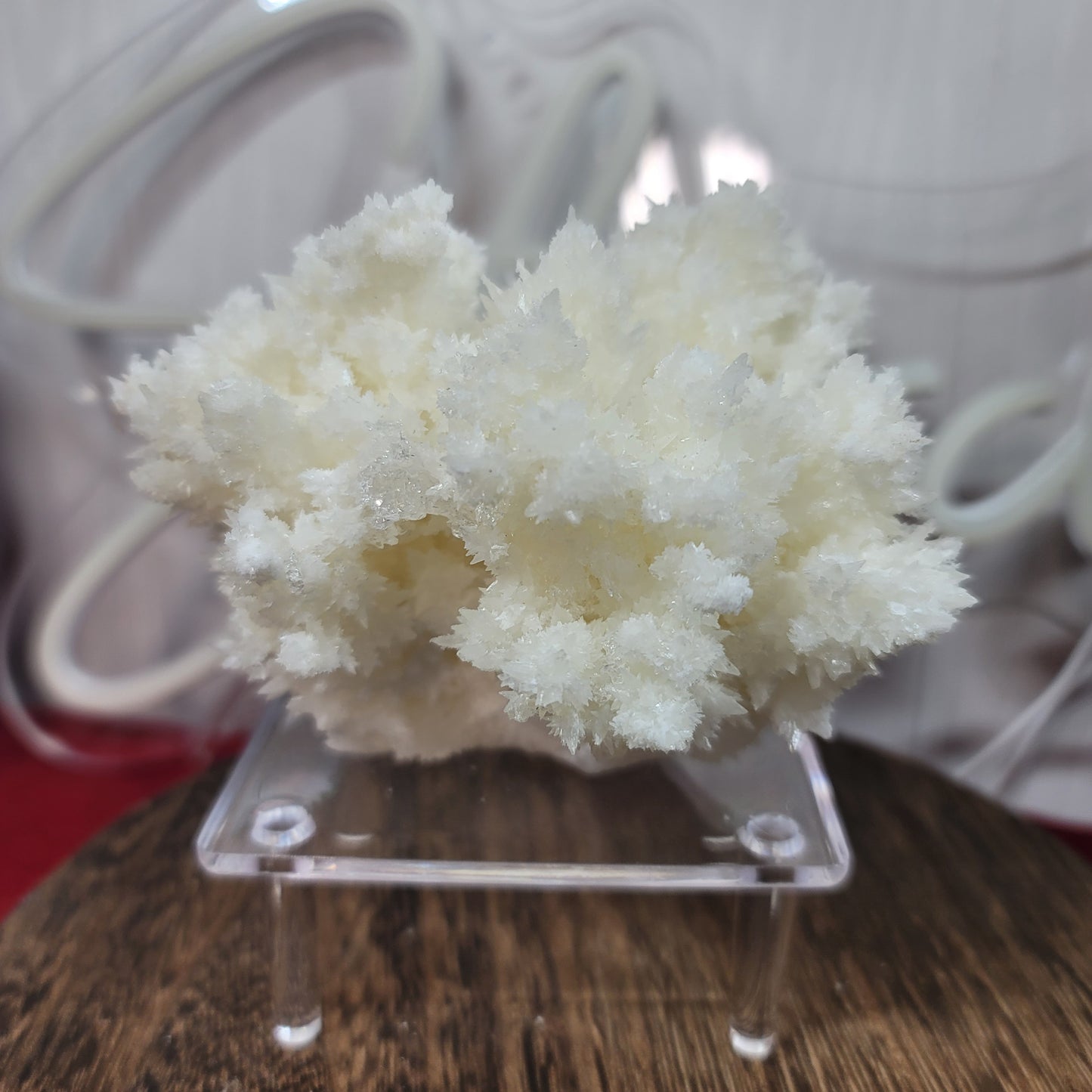 White Aragonite, Mexico | 002