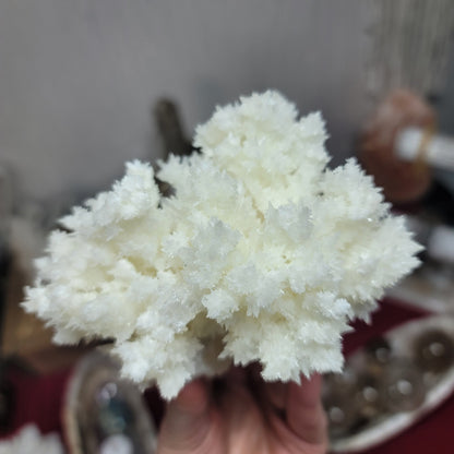 White Aragonite, Mexico | 002