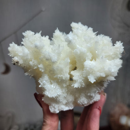 White Aragonite, Mexico | 002