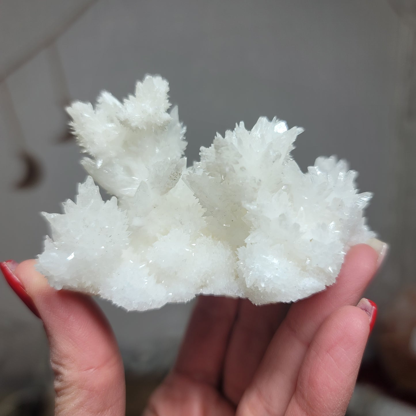 White Aragonite, Mexico | 004