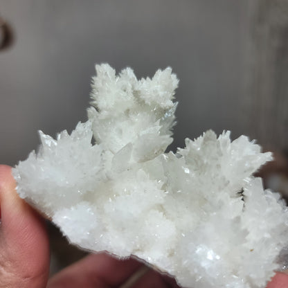 White Aragonite, Mexico | 004