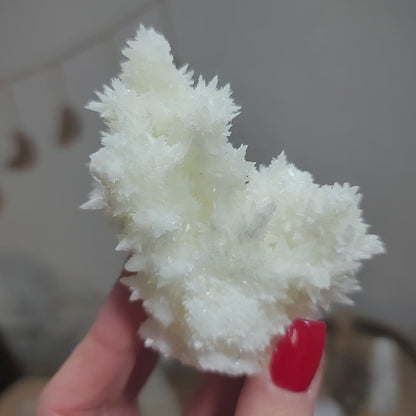 White Aragonite, Mexico | 001