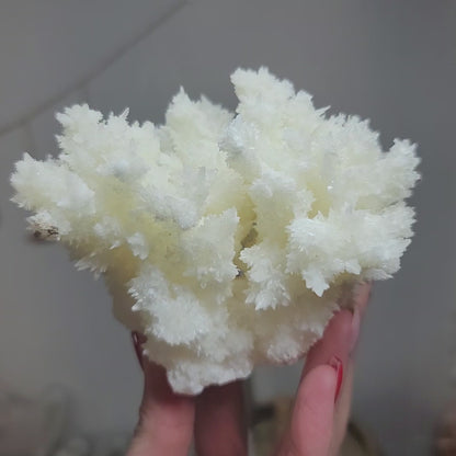 White Aragonite, Mexico | 002